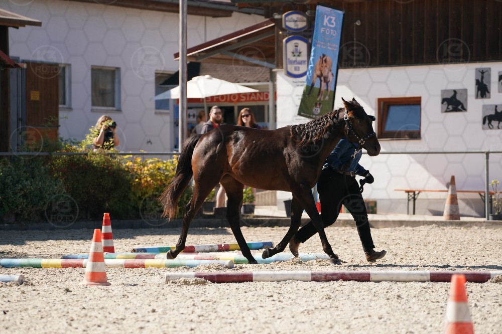s_A_907495.JPG